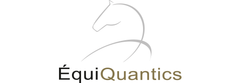 logo EQUIQUANTICS