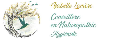 Bannière Isabelle Conseillère en Naturopathie